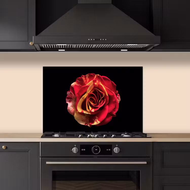 Bloem - Roos - Rood - Zwart keuken achterwand spatscherm klein -sfeer1