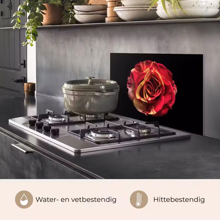 Bloem - Roos - Rood - Zwart keuken achterwand spatscherm klein -usp_NL