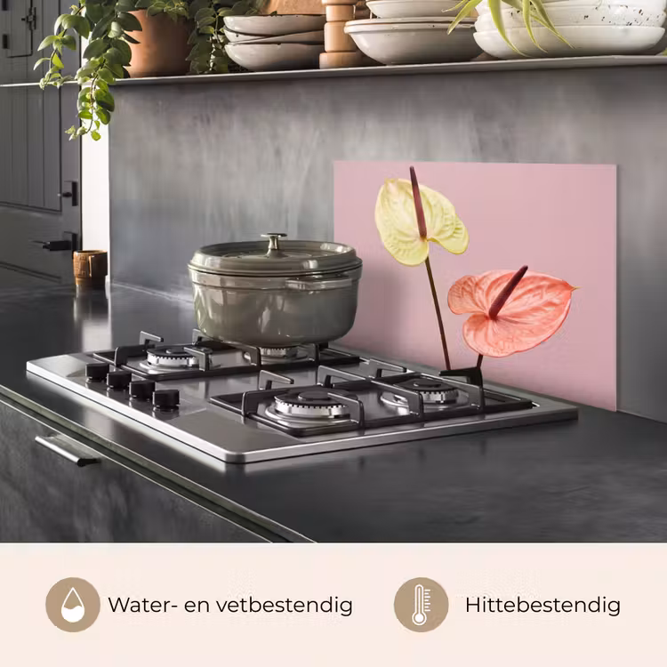 Bloemen - Anthuriums - Geel - Roze keuken achterwand spatscherm klein -usp_NL