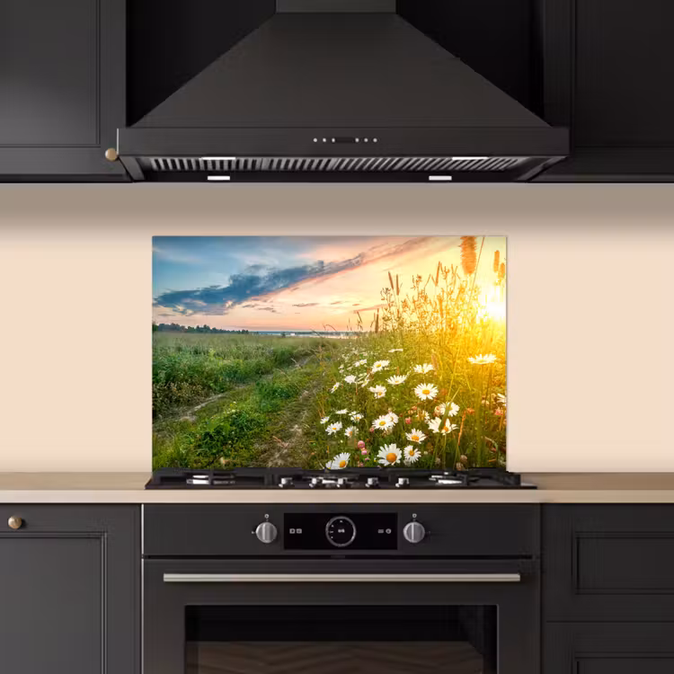 Bloemen - Madelief - Natuur - Zon - Horizon keuken achterwand spatscherm klein -sfeer1
