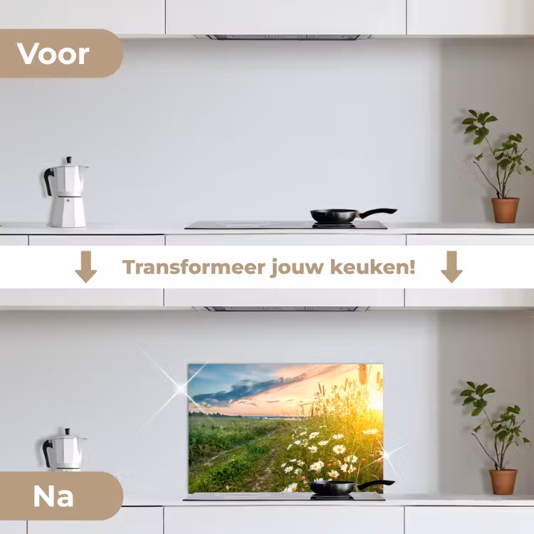 Bloemen - Madelief - Natuur - Zon - Horizon keuken achterwand spatscherm klein -voor_na_NL