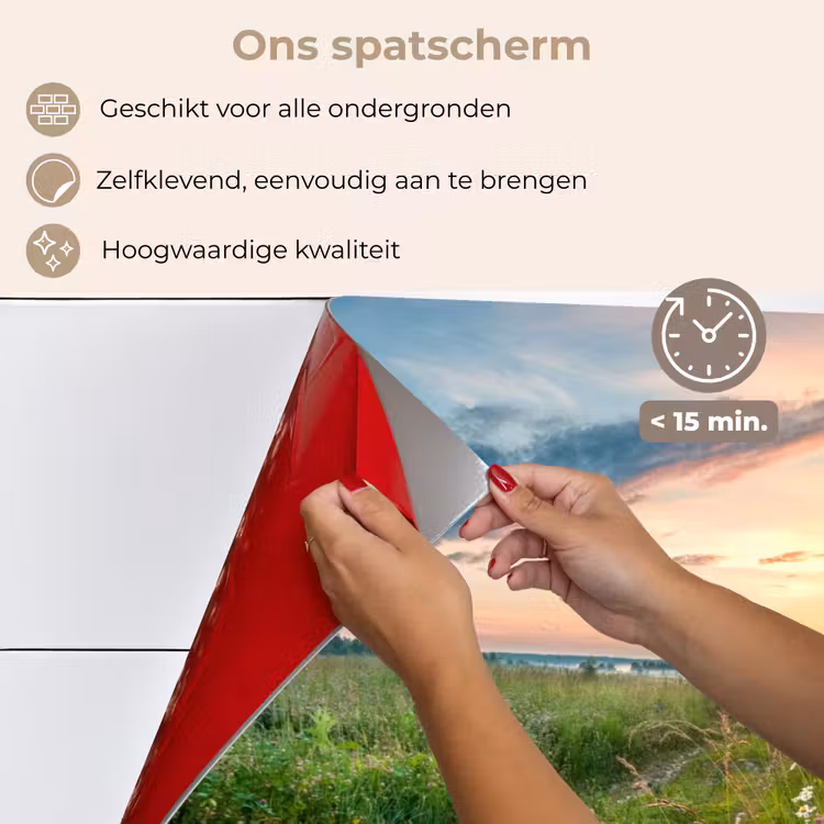 Bloemen - Madelief - Natuur - Zon - Horizon keuken achterwand spatscherm klein -spatscherm_NL