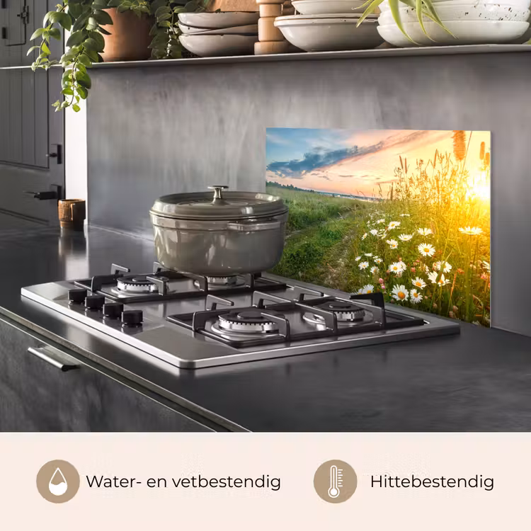 Bloemen - Madelief - Natuur - Zon - Horizon keuken achterwand spatscherm klein -usp_NL