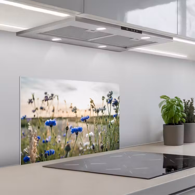Bloemen - Zomer - Korenbloem - Blauw - Zon - Wolken keuken achterwand spatscherm klein -3d_schuin