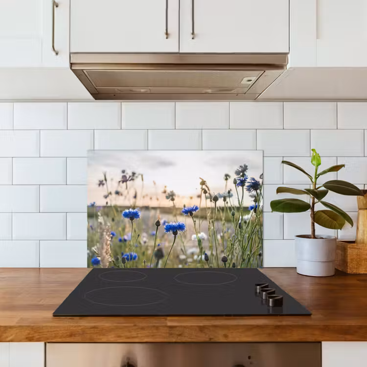 Bloemen - Zomer - Korenbloem - Blauw - Zon - Wolken keuken achterwand spatscherm klein -sfeer2
