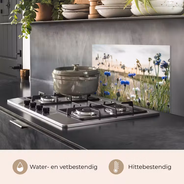 Bloemen - Zomer - Korenbloem - Blauw - Zon - Wolken keuken achterwand spatscherm klein -usp_NL