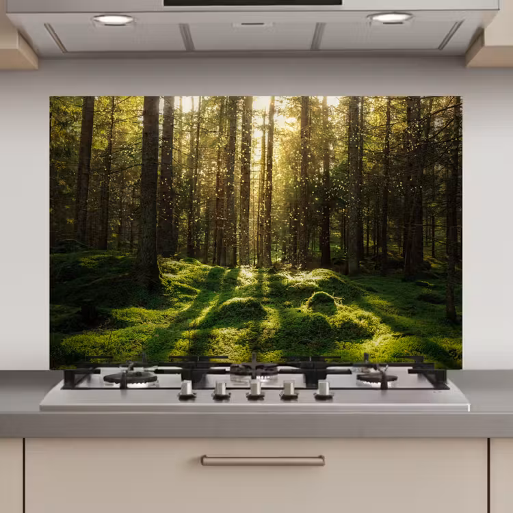 Bomen - Bos - Mos - Planten - Zon - Natuur keuken achterwand spatscherm klein -3d_website