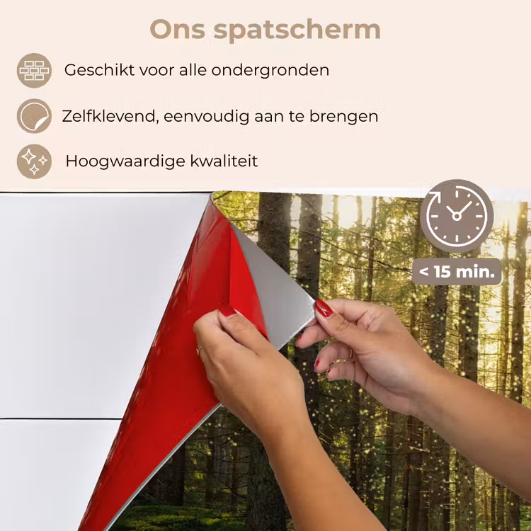 Bomen - Bos - Mos - Planten - Zon - Natuur keuken achterwand spatscherm klein -spatscherm_NL