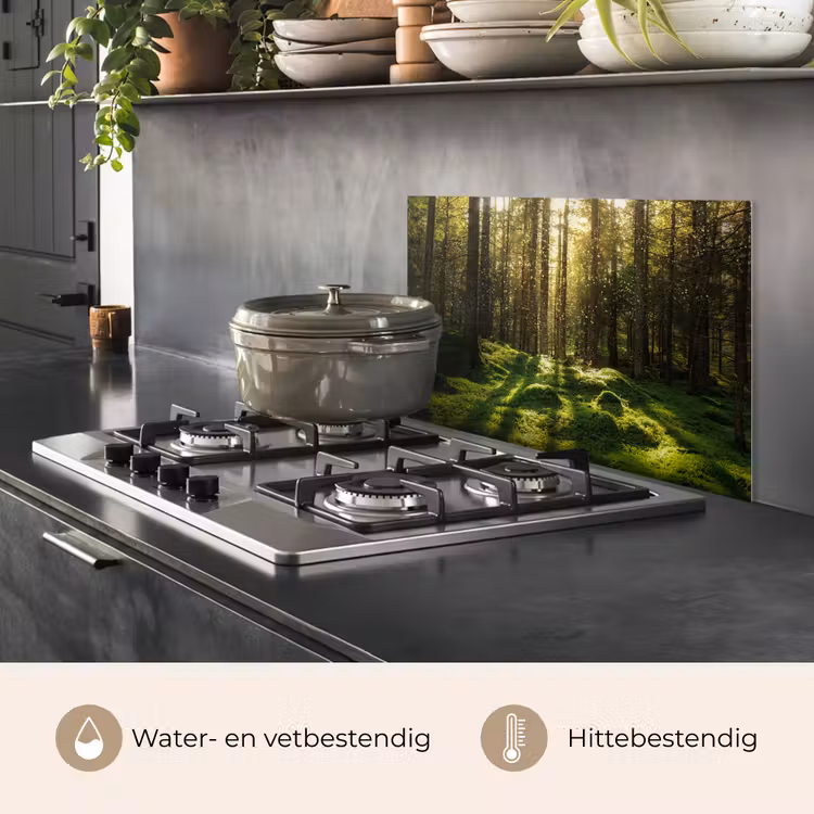 Bomen - Bos - Mos - Planten - Zon - Natuur keuken achterwand spatscherm klein -usp_NL