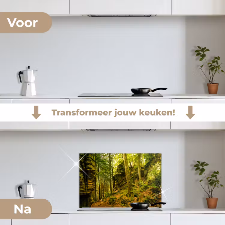 Bomen - Steen - Bos - Natuur - Planten keuken achterwand spatscherm klein -voor_na_NL