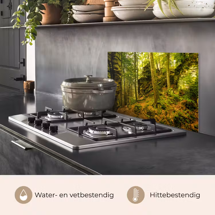 Bomen - Steen - Bos - Natuur - Planten keuken achterwand spatscherm klein -usp_NL
