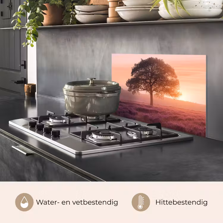 Boom - Heide - Zonsopgang keuken achterwand spatscherm klein -usp_NL