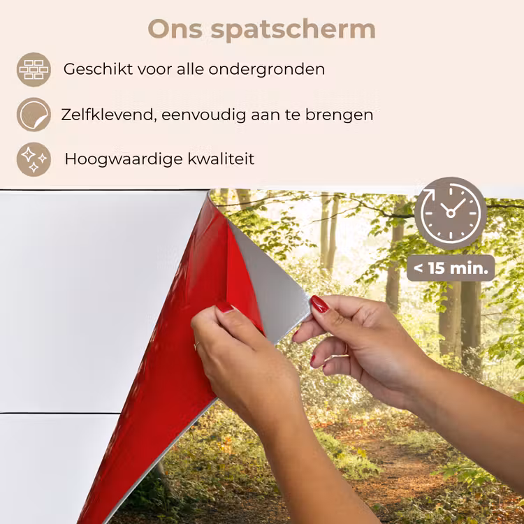 Bos - Bomen - Pad - Zon - Planten - Bladeren - Natuur keuken achterwand spatscherm klein -spatscherm_NL