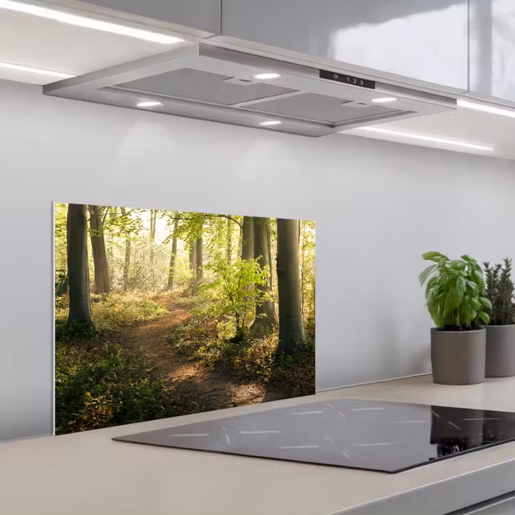 Bos - Bomen - Pad - Zon - Planten - Bladeren - Natuur keuken achterwand spatscherm klein -3d_schuin