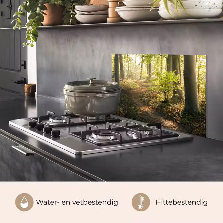 Bos - Bomen - Pad - Zon - Planten - Bladeren - Natuur keuken achterwand spatscherm klein -usp_NL