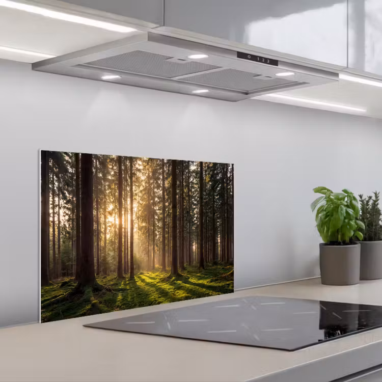 Bos - Gras - Zonlicht keuken achterwand spatscherm klein -3d_schuin