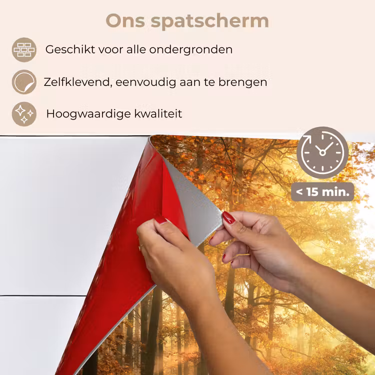 Bos - Herfst - Zon - Landschap - Natuur - Bomen - Bladeren keuken achterwand spatscherm klein -spatscherm_NL