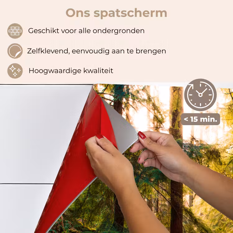 Bos - Pad - Bomen - Groen - Zon - Natuur keuken achterwand spatscherm klein -spatscherm_NL