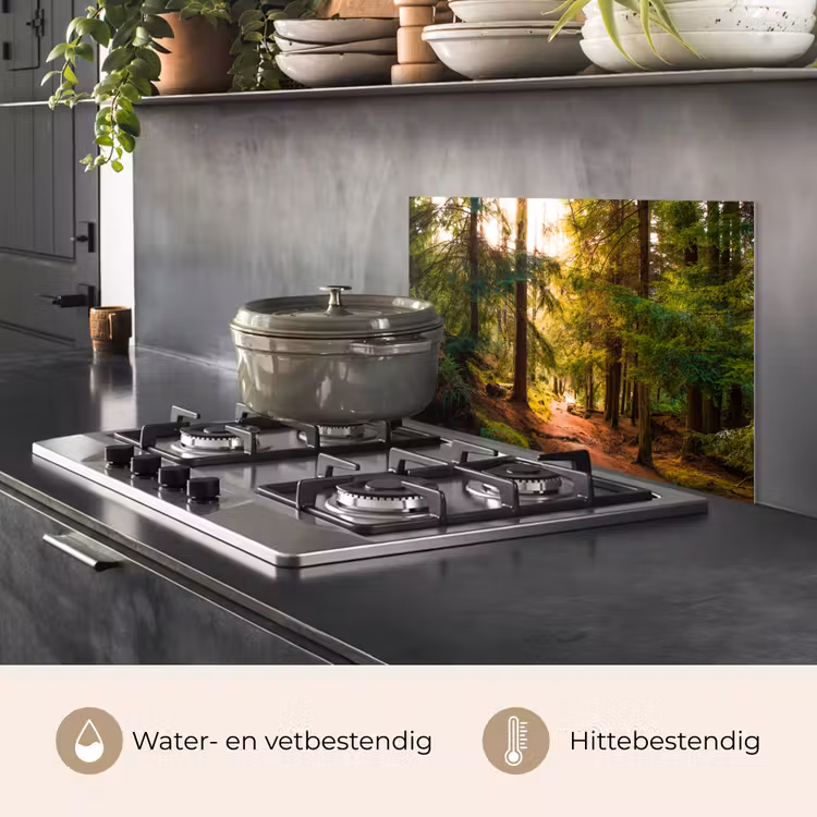 Bos - Pad - Bomen - Groen - Zon - Natuur keuken achterwand spatscherm klein -usp_NL