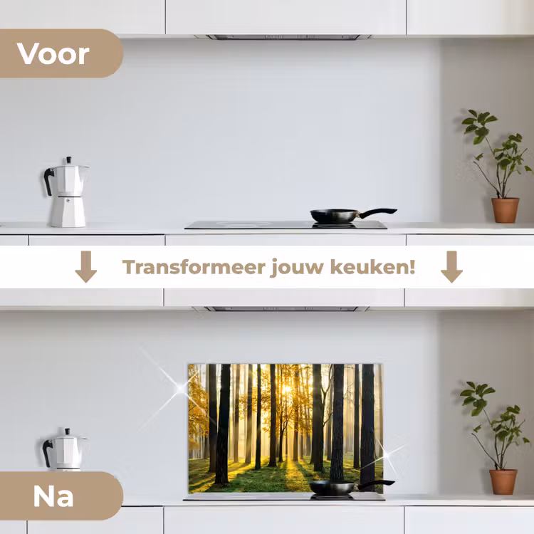 Bos - Zon - Bomen - Gras - Landschap - Natuur keuken achterwand spatscherm klein -voor_na_NL