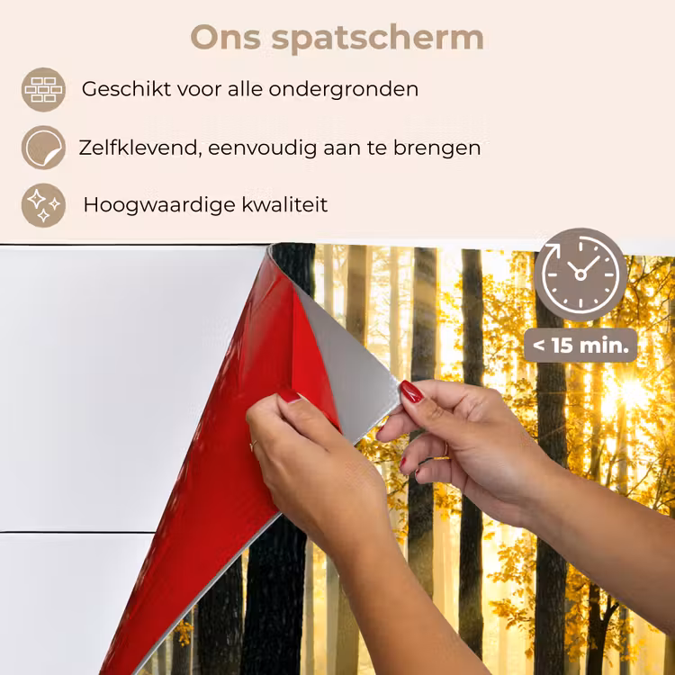 Bos - Zon - Bomen - Gras - Landschap - Natuur keuken achterwand spatscherm klein -spatscherm_NL