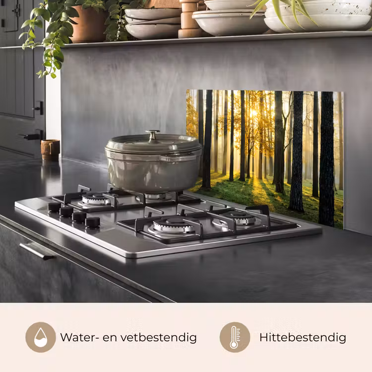 Bos - Zon - Bomen - Gras - Landschap - Natuur keuken achterwand spatscherm klein -usp_NL