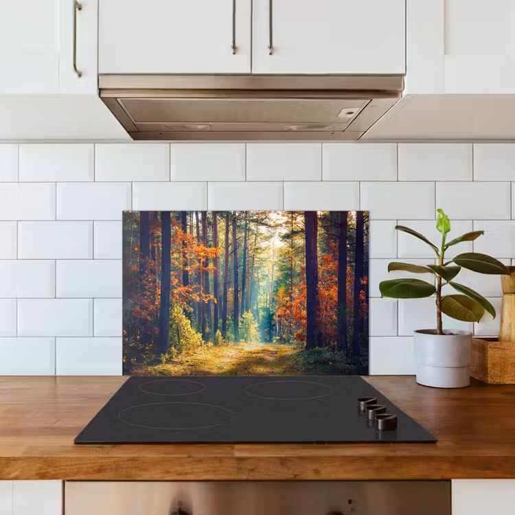 Bos - Zon - Natuur - Herfst keuken achterwand spatscherm klein -sfeer2