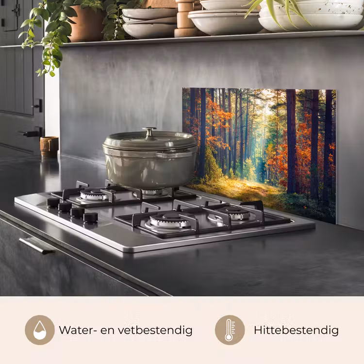 Bos - Zon - Natuur - Herfst keuken achterwand spatscherm klein -usp_NL