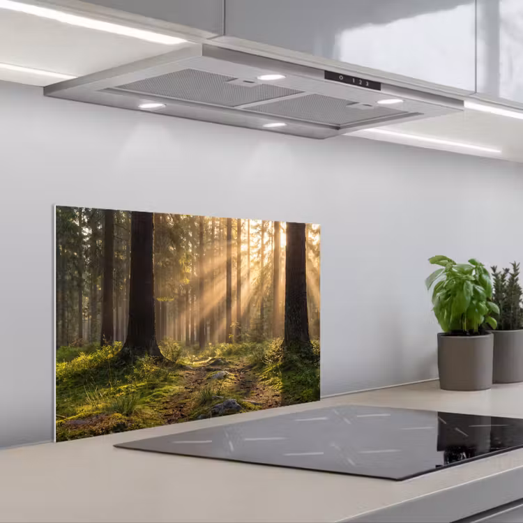 Bos - Zonlicht - Gras keuken achterwand spatscherm klein -3d_schuin