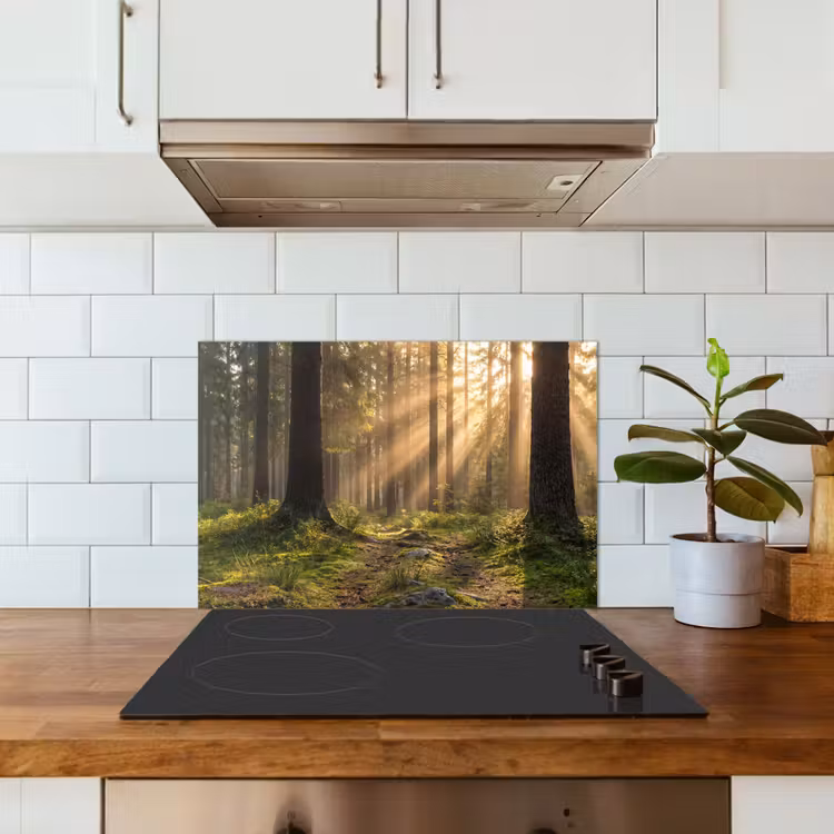 Bos - Zonlicht - Gras keuken achterwand spatscherm klein -sfeer2