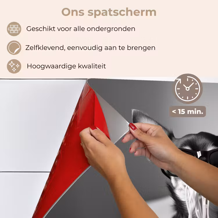 Chihuahua - Hond - Zonnebril - Humoristisch - Zwart - Wit - Spaghetti keuken achterwand spatscherm klein -spatscherm_NL