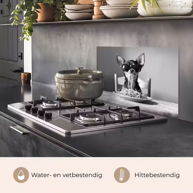 Chihuahua - Hond - Zonnebril - Humoristisch - Zwart - Wit - Spaghetti keuken achterwand spatscherm klein -usp_NL