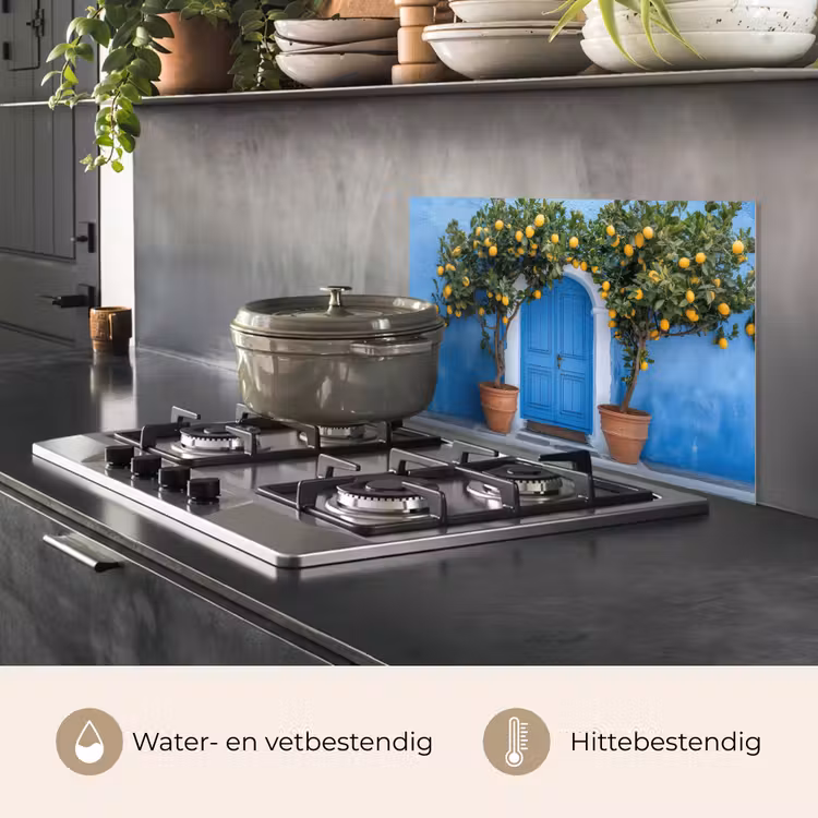 Citroenbomen - Geel - Deur - Potten keuken achterwand spatscherm klein -usp_NL