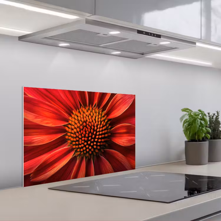 Close up - Bloem- Rood keuken achterwand spatscherm klein -3d_schuin