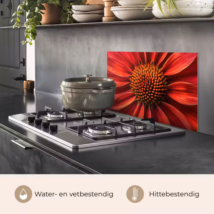 Close up - Bloem- Rood keuken achterwand spatscherm klein -usp_NL