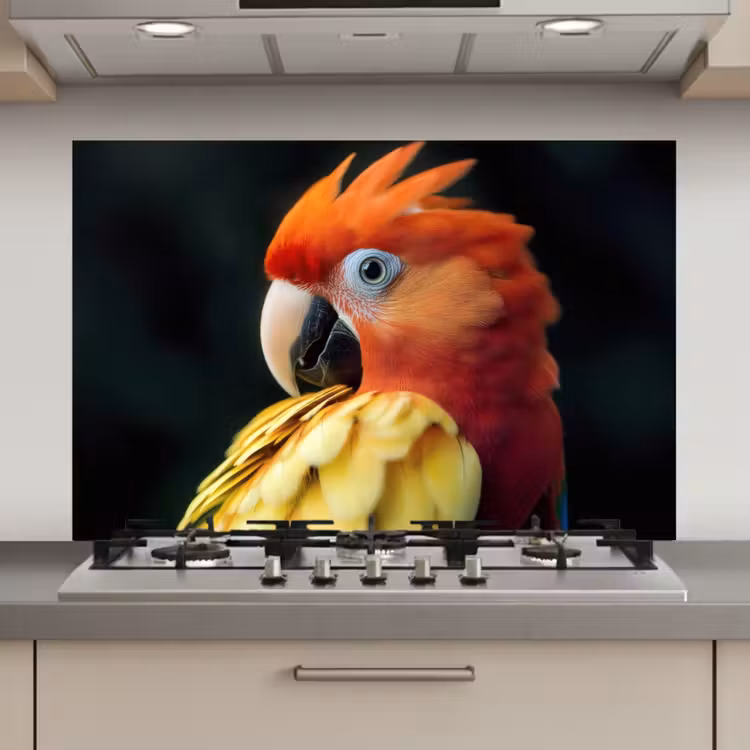 Close-up - Papegaai - Veren - Oranje keuken achterwand spatscherm klein -3d_website