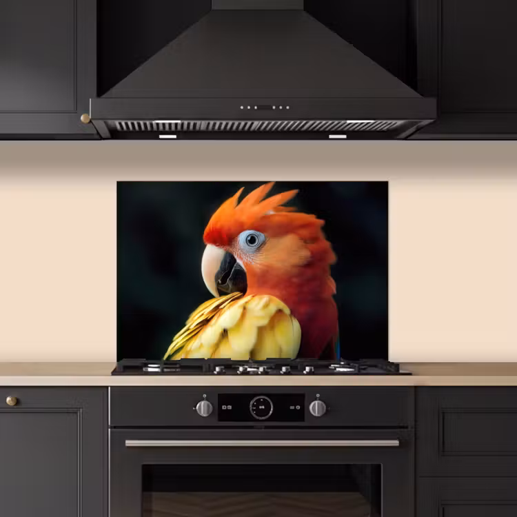 Close-up - Papegaai - Veren - Oranje keuken achterwand spatscherm klein -sfeer1