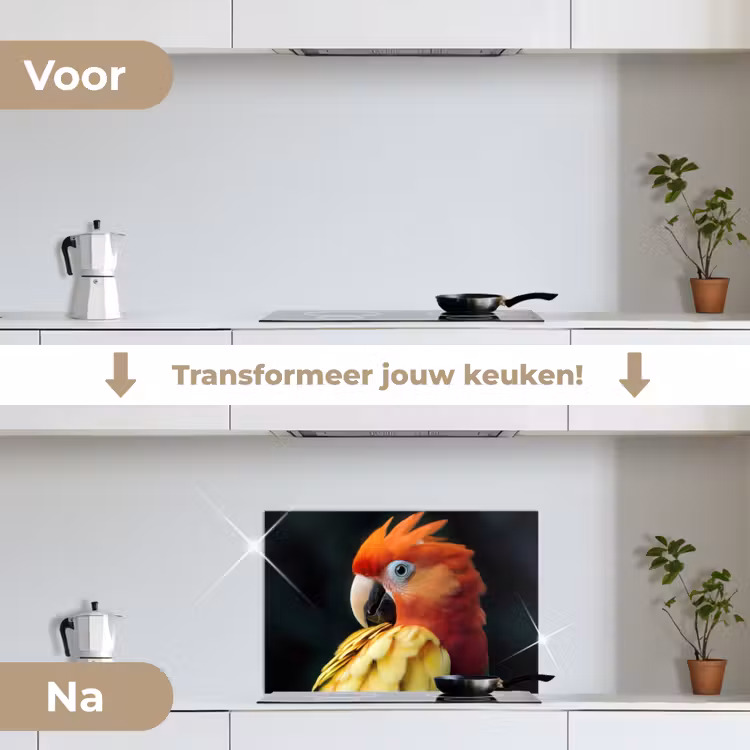 Close-up - Papegaai - Veren - Oranje keuken achterwand spatscherm klein -voor_na_NL