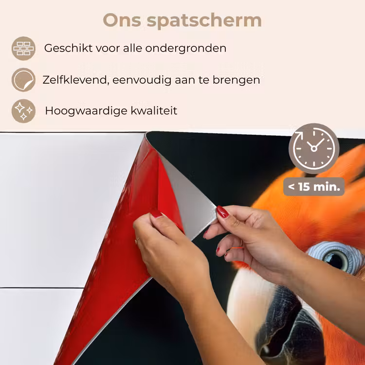 Close-up - Papegaai - Veren - Oranje keuken achterwand spatscherm klein -spatscherm_NL