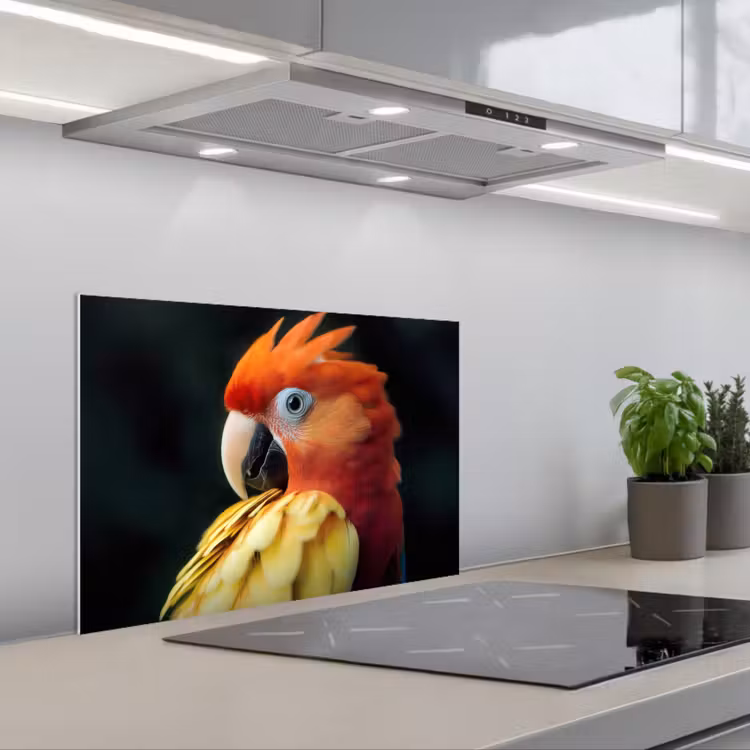 Close-up - Papegaai - Veren - Oranje keuken achterwand spatscherm klein -3d_schuin