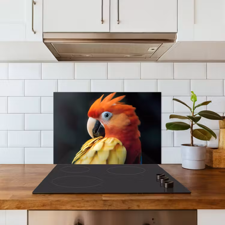 Close-up - Papegaai - Veren - Oranje keuken achterwand spatscherm klein -sfeer2