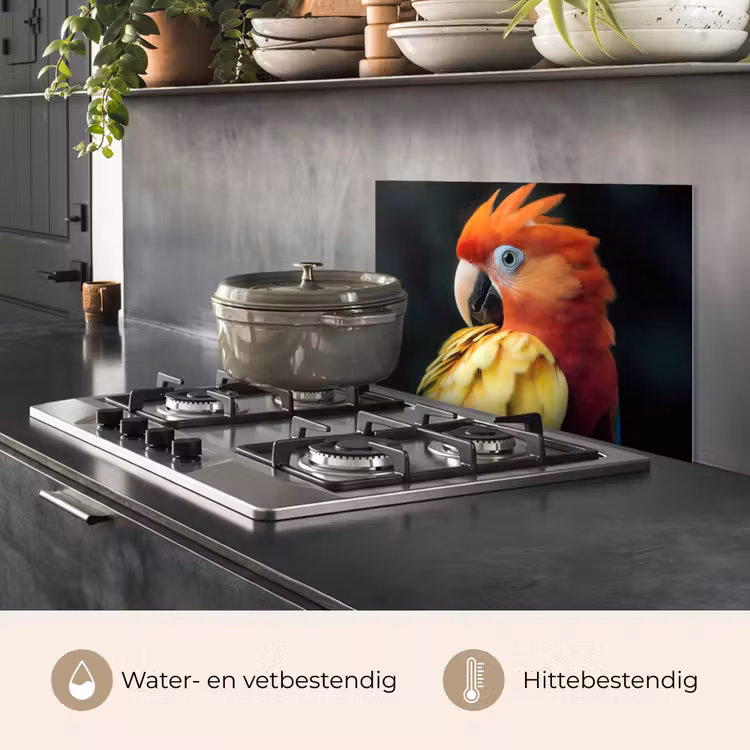 Close-up - Papegaai - Veren - Oranje keuken achterwand spatscherm klein -usp_NL