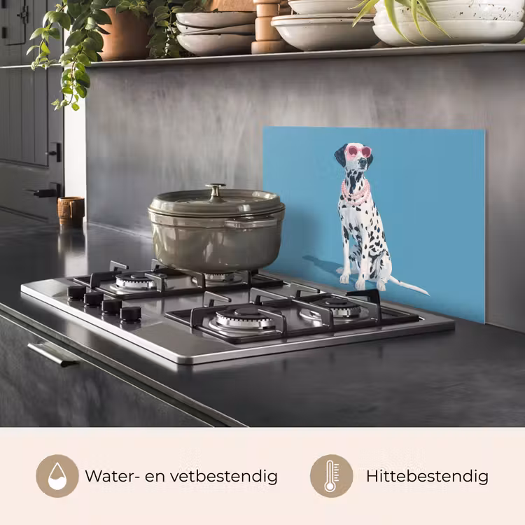 Dalmatiër - Zonnebril - Blauw keuken achterwand spatscherm klein -usp_NL