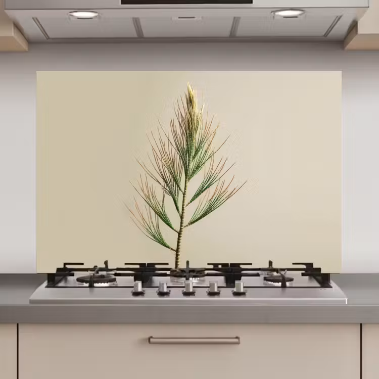 Dennentak - Naaldvormige bladeren - Lichtgroen keuken achterwand spatscherm klein -3d_website