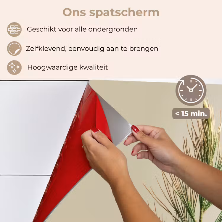 Dennentak - Naaldvormige bladeren - Lichtgroen keuken achterwand spatscherm klein -spatscherm_NL