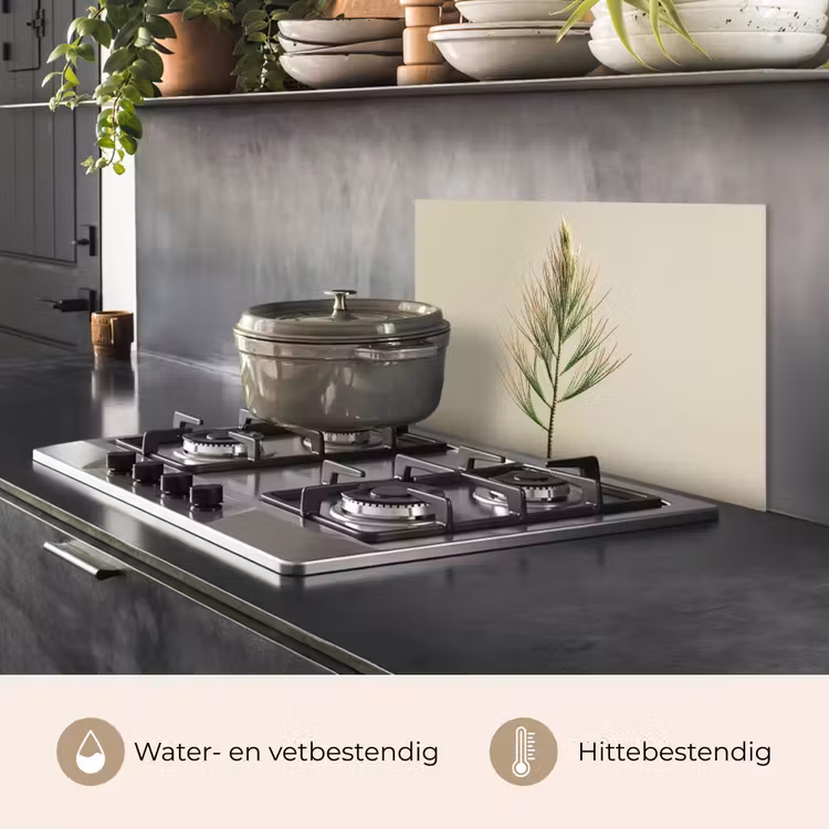 Dennentak - Naaldvormige bladeren - Lichtgroen keuken achterwand spatscherm klein -usp_NL