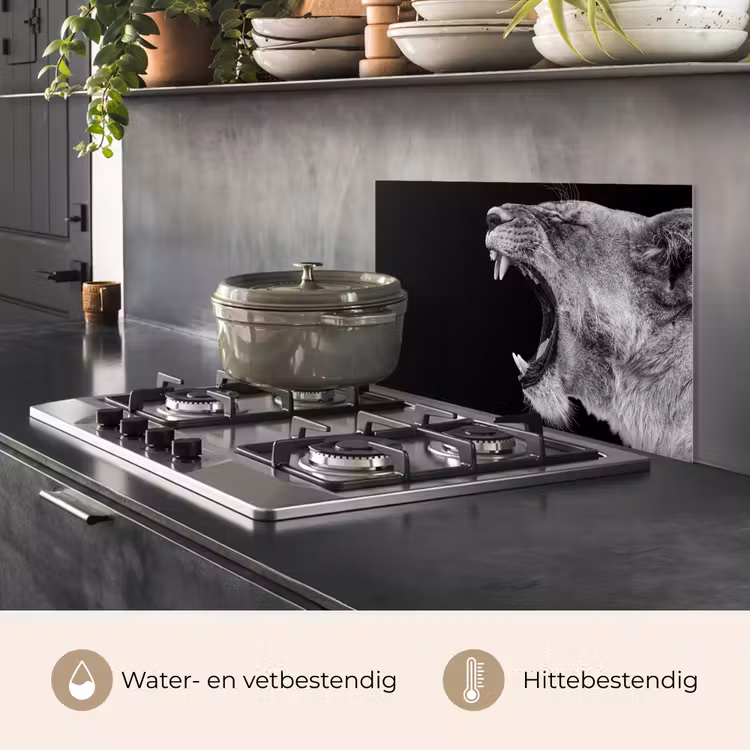 Dieren - Leeuw - Zwart - Wit - Portret keuken achterwand spatscherm klein -usp_NL