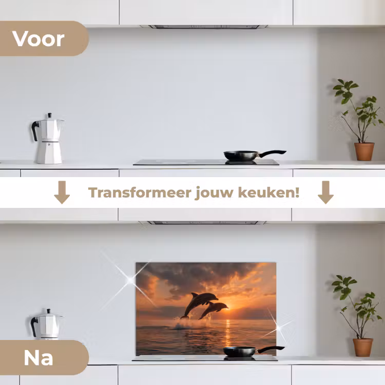 Dolfijnen - Zee - Realistisch keuken achterwand spatscherm klein -voor_na_NL