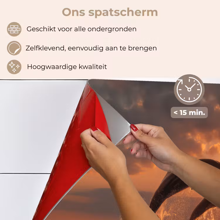 Dolfijnen - Zee - Realistisch keuken achterwand spatscherm klein -spatscherm_NL