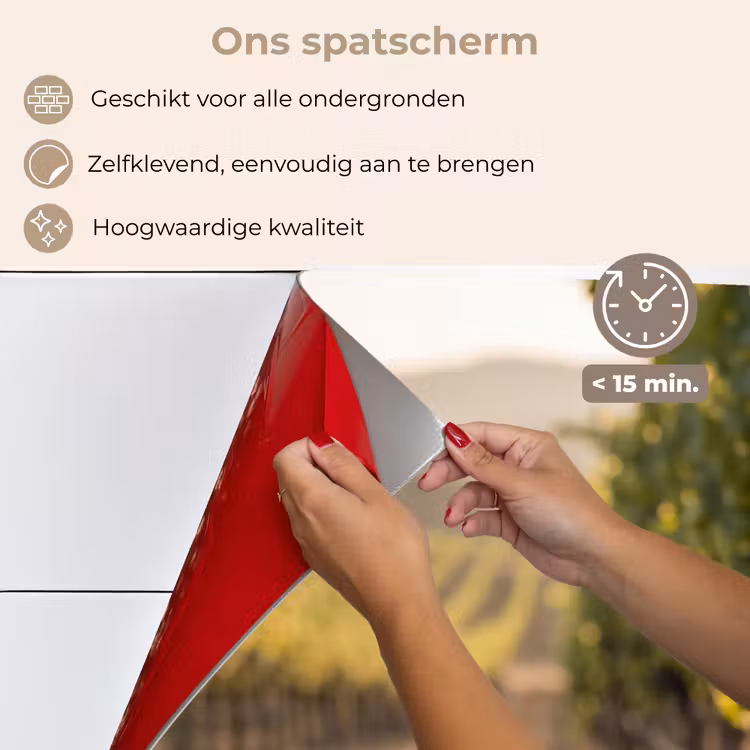 Druiven - Wijngaard - Zonlicht keuken achterwand spatscherm klein -spatscherm_NL